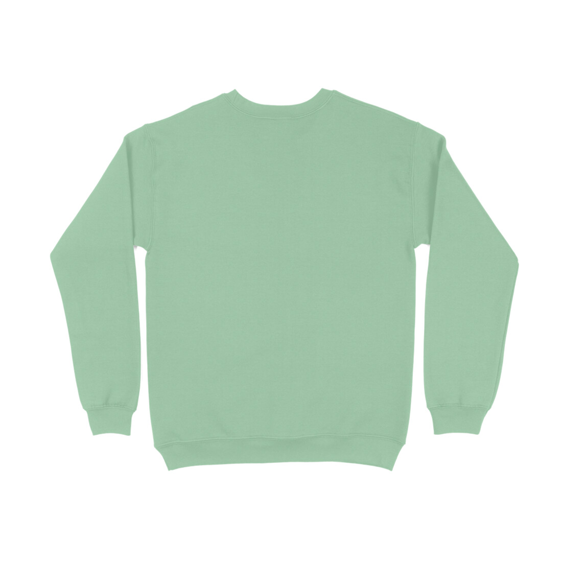 back-689f5bfd5c7bc-Mint_Green_XS_Sweatshirt.jpg